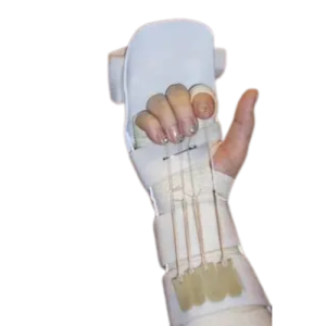 Kleinert Orthosis