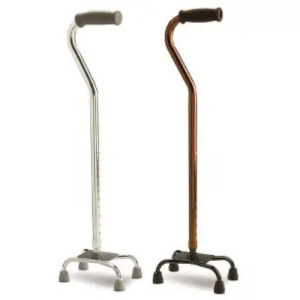 Four Point Canes